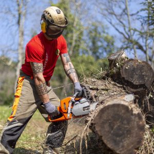 uso in sicurezza della motosega