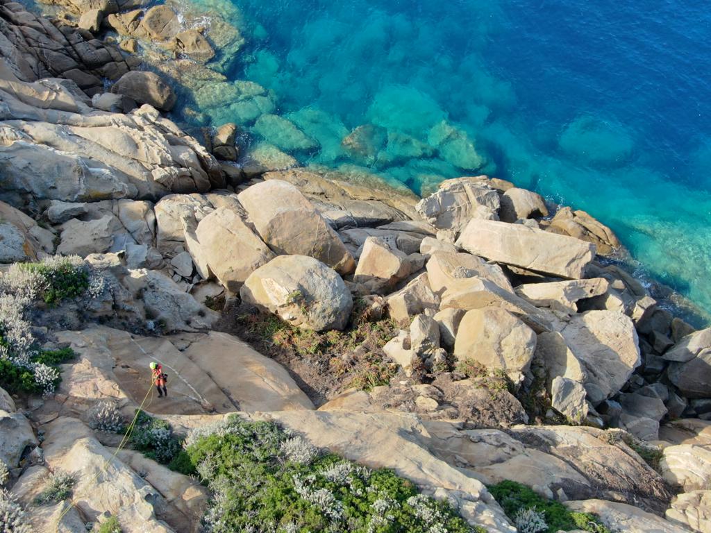 Rimozione fico degli Ottentotti dall'Isola del Giglio tramite funi