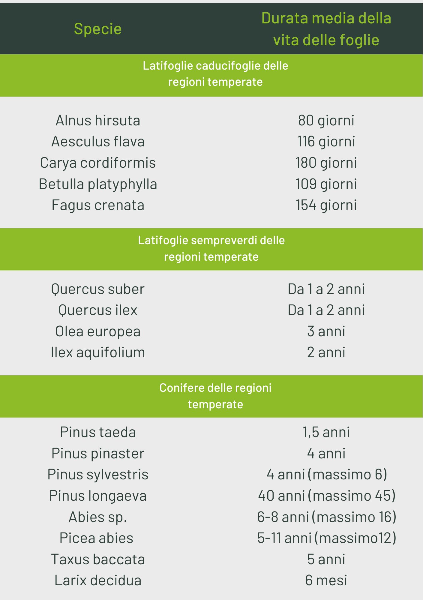 tabella durata delle foglie