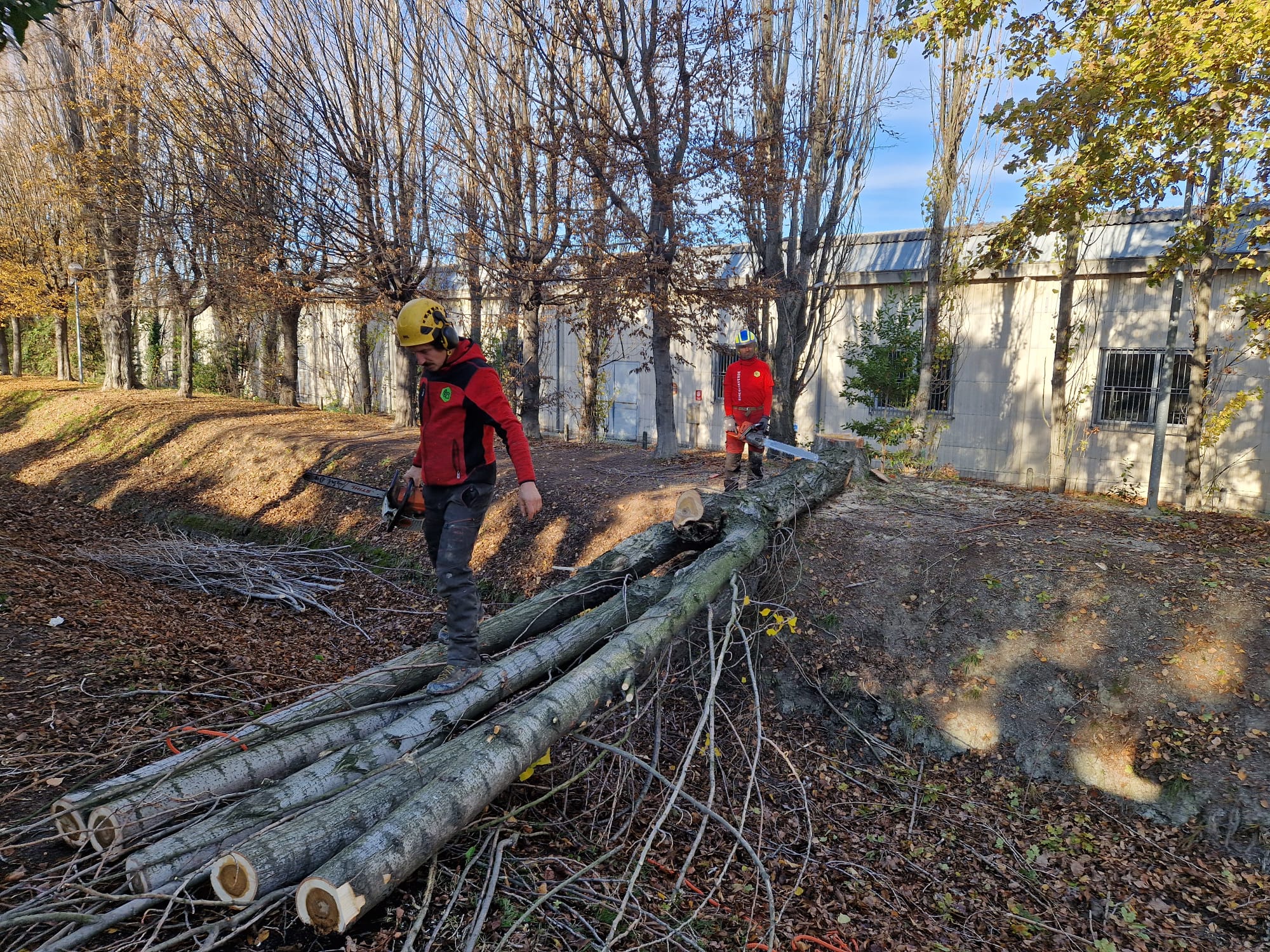 Estesa manutenzione di un canale a Massa Lombarda