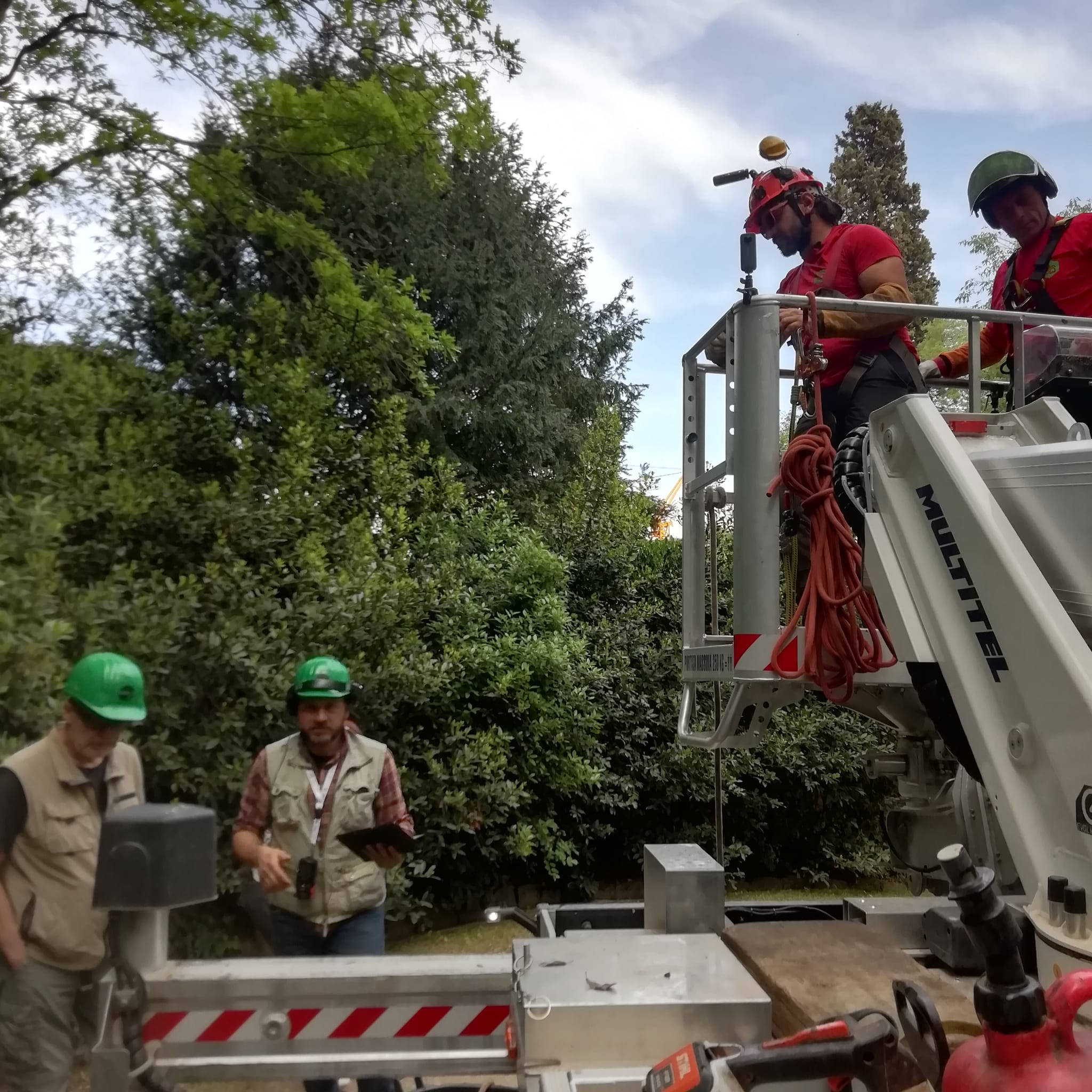 realtà aumentata arboricoltura