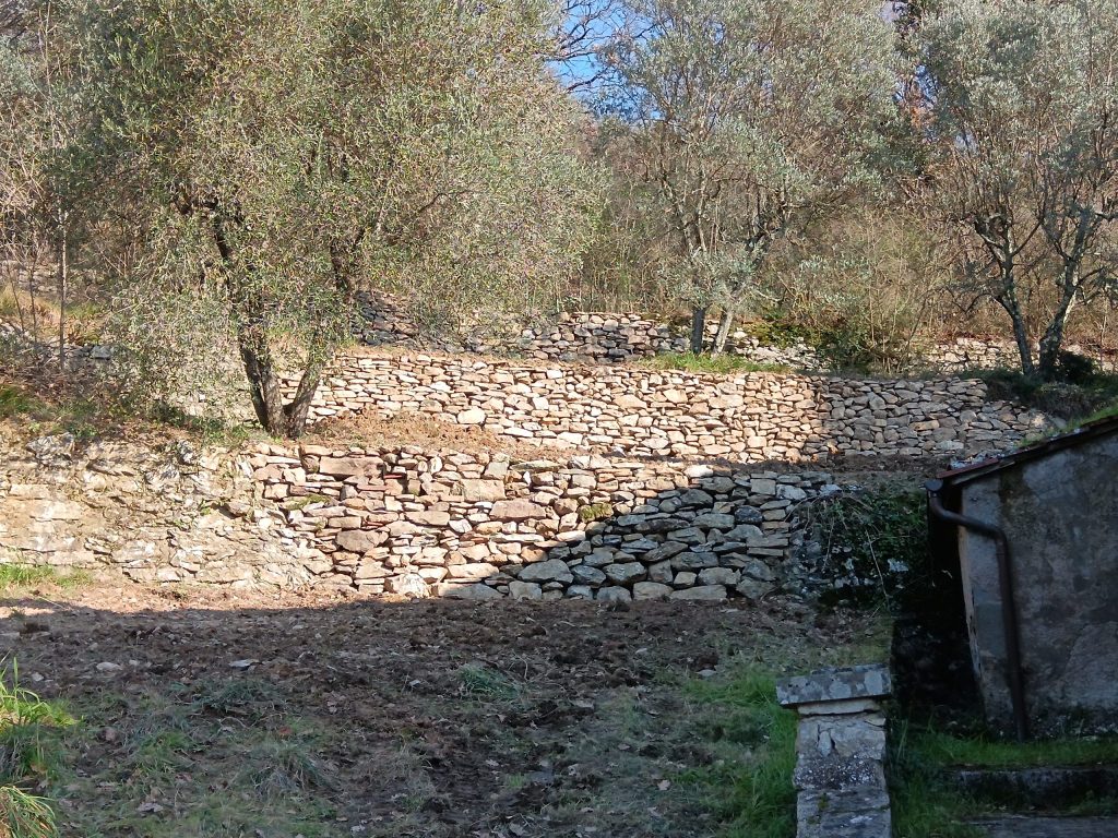 muretti a secco ripristinati a Bacchereto a Prato