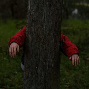Braccia di un bambino e albero per corso di arboricoltura pratica