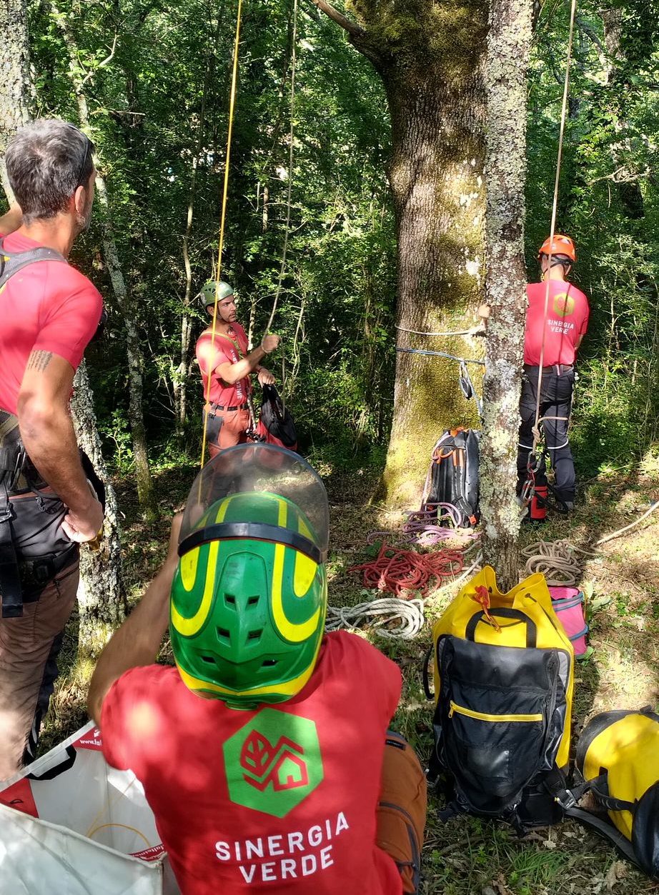 esercitazione recupero del ferito lavori su alberi
